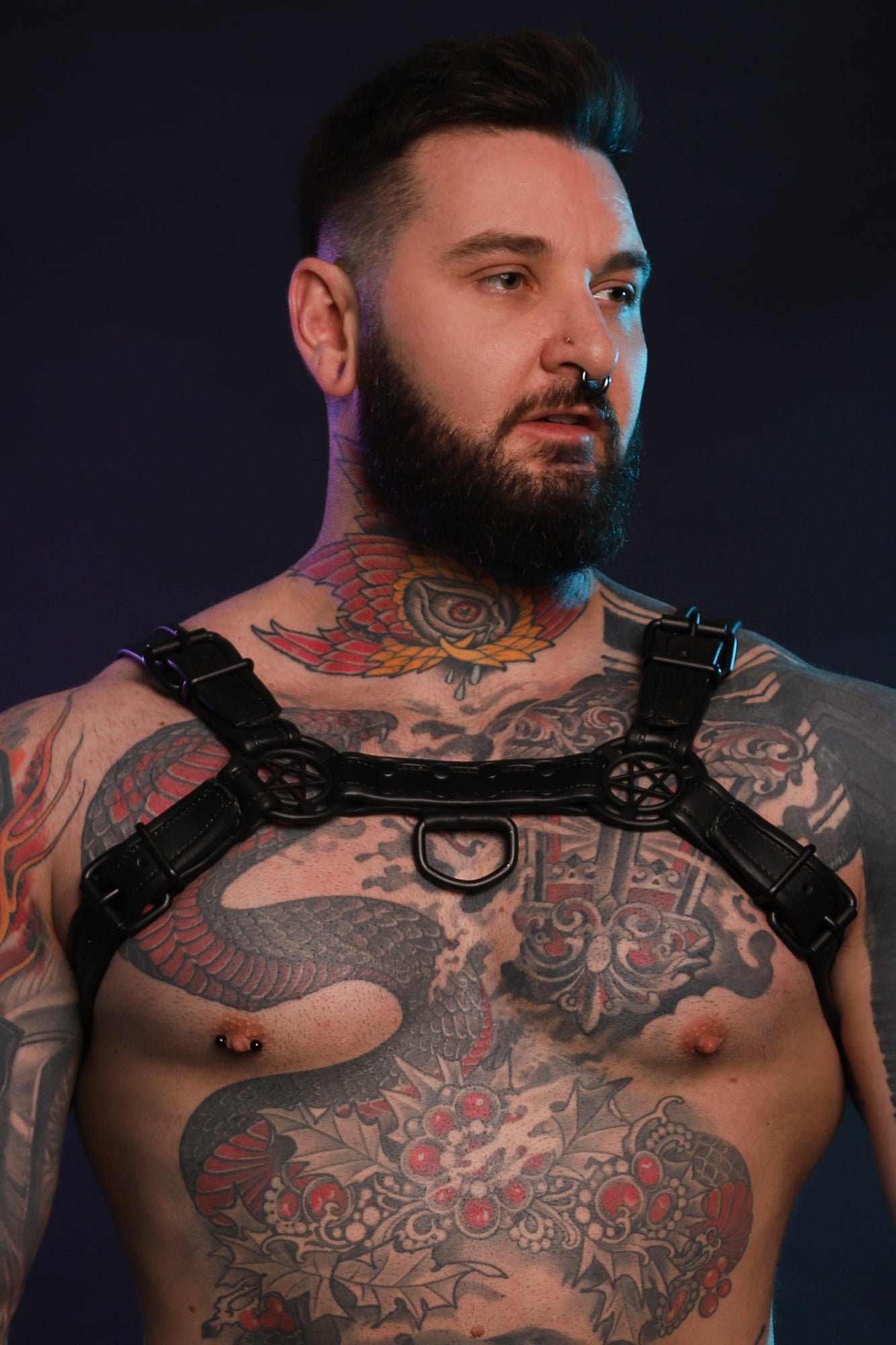 A product photo of a black Beast Harness.