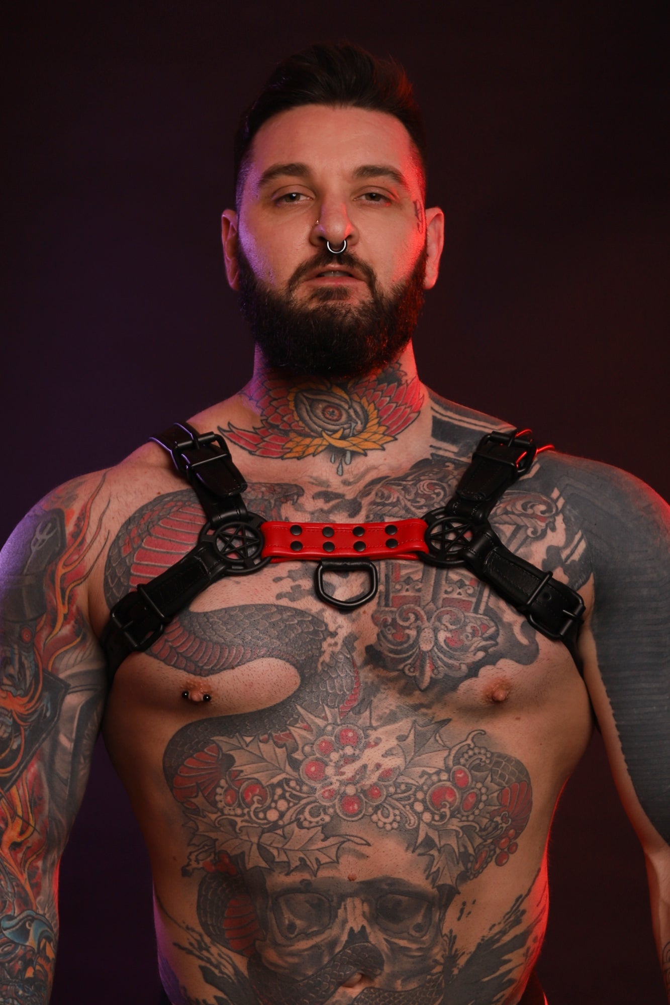 A product photo of a red Beast Harness by Twisted Beast.
